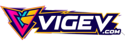 vigev.com